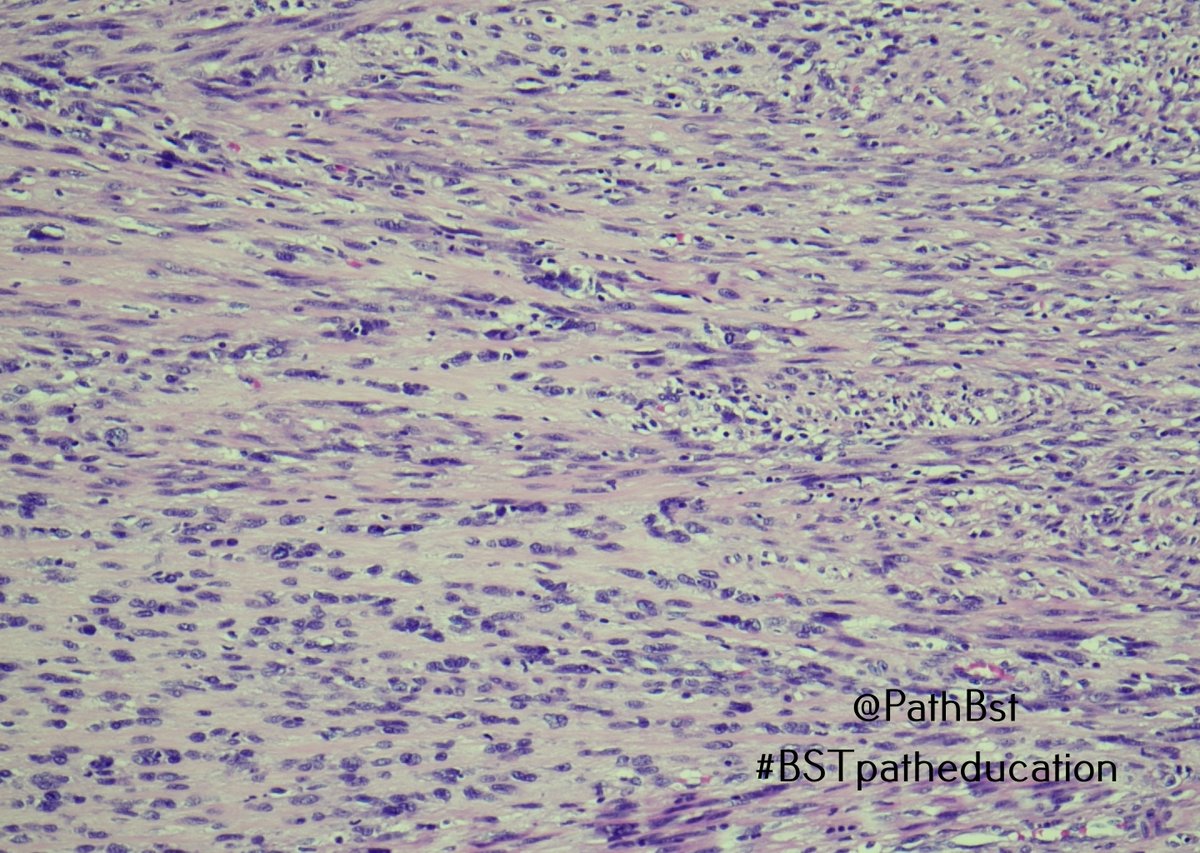 BST Path Education tweet media