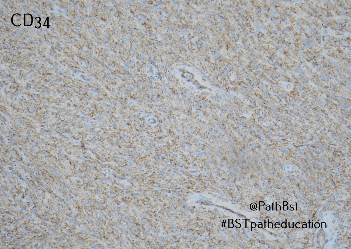 BST Path Education tweet media