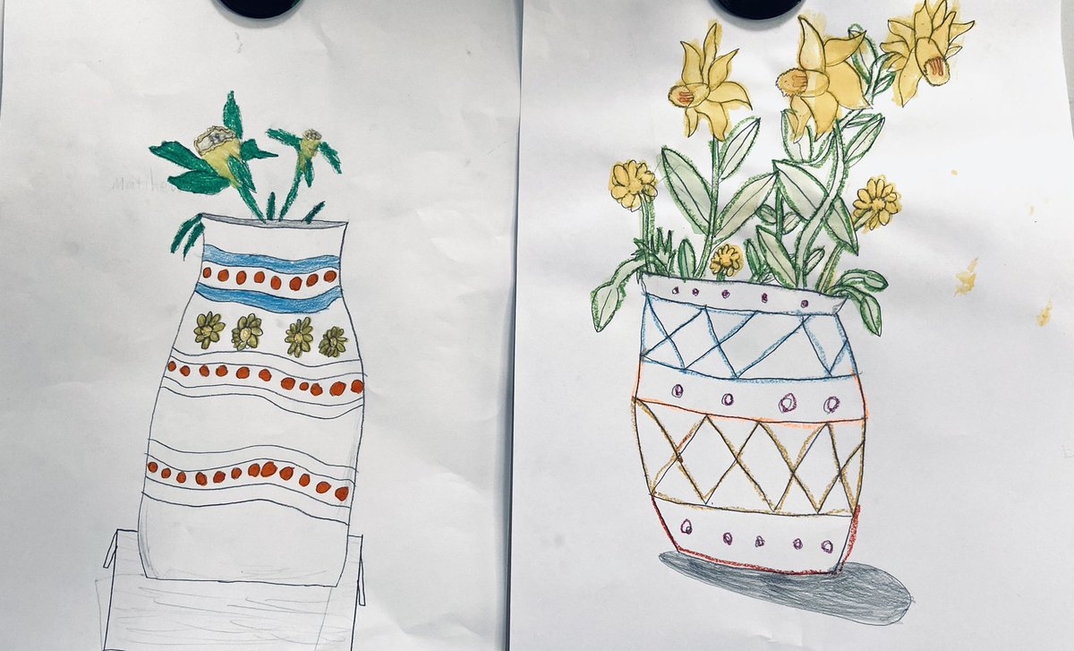 Students’ first drawing on the left and the same students second drawing on the right after a 5min explicit lesson on how to draw #daffodils 🌼😍 #visualarts #teaching #PrimarySchool #art