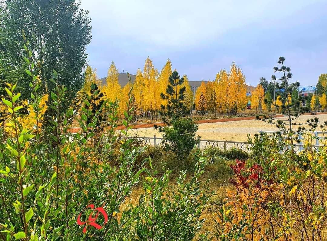 Архангайн алтан намар нэг иймэрхүү