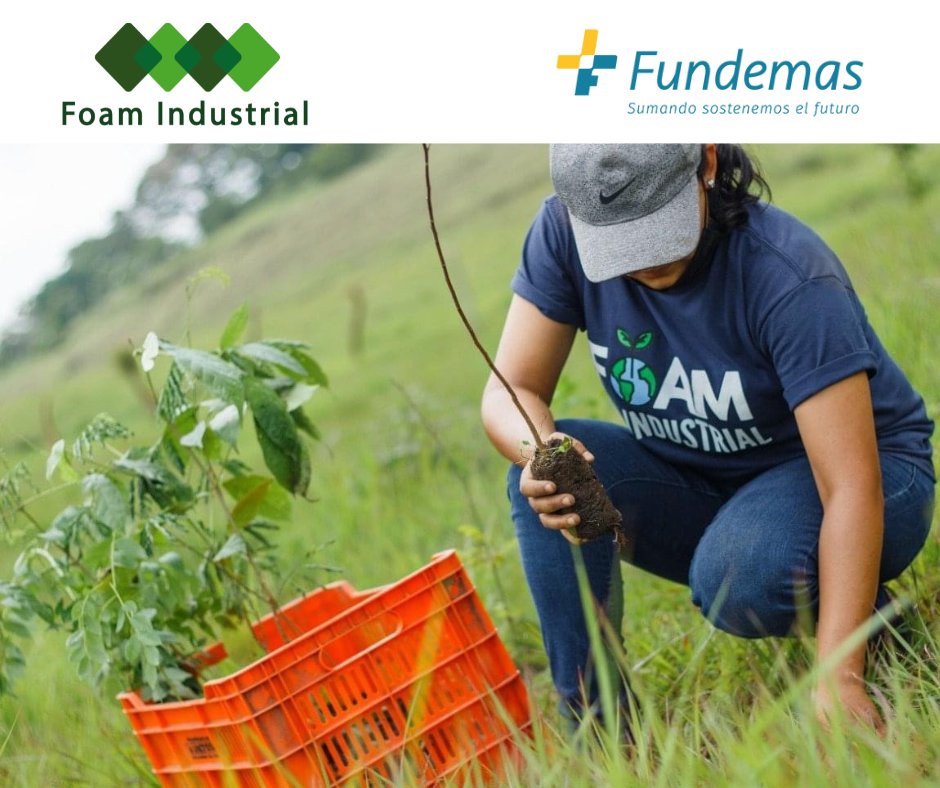FUNDEMAS's tweet photo. Te compartimos el siguiente mensaje de @FoamIndustrial: "honramos a nuestra patria con el compromiso de mejorar nuestro entorno por medio de nuestros programas de RSE, que incentivan y sensibiliza a las nuevas generaciones en el mundo del reciclaje". #PatriotismoSostenible https://t.co/zYdylLokIz