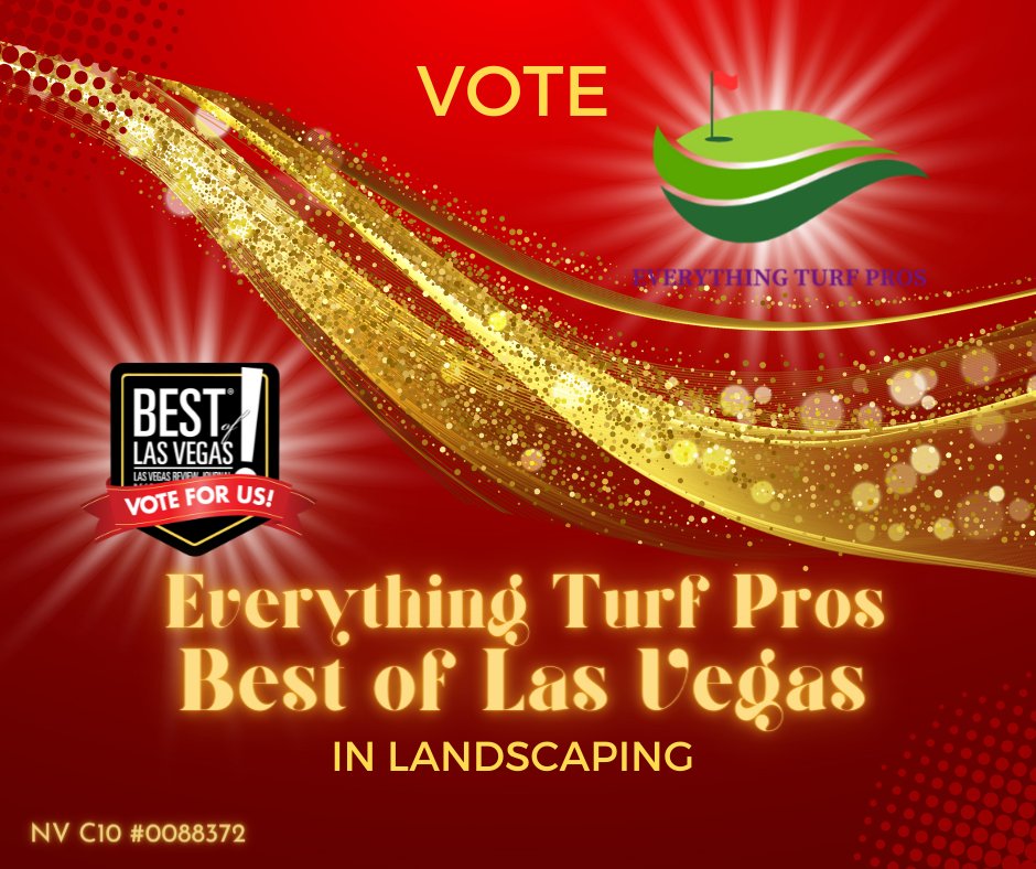 EverythingTurf's tweet photo. Vote ETP Best of Las Vegas in Landscaping daily through September 22, 2022! 
🌟 https://t.co/bVWIyT1JVC 🌟

https://t.co/qUDyhb47kL

#BestOfLasVegas #EverythingTurfPros #VoteForUs #BestInLandscaping #VegasBaby #ArtificialTurf #ETP #Home&amp;Garden #LandscapeDesigners https://t.co/gPBxaWT6N1