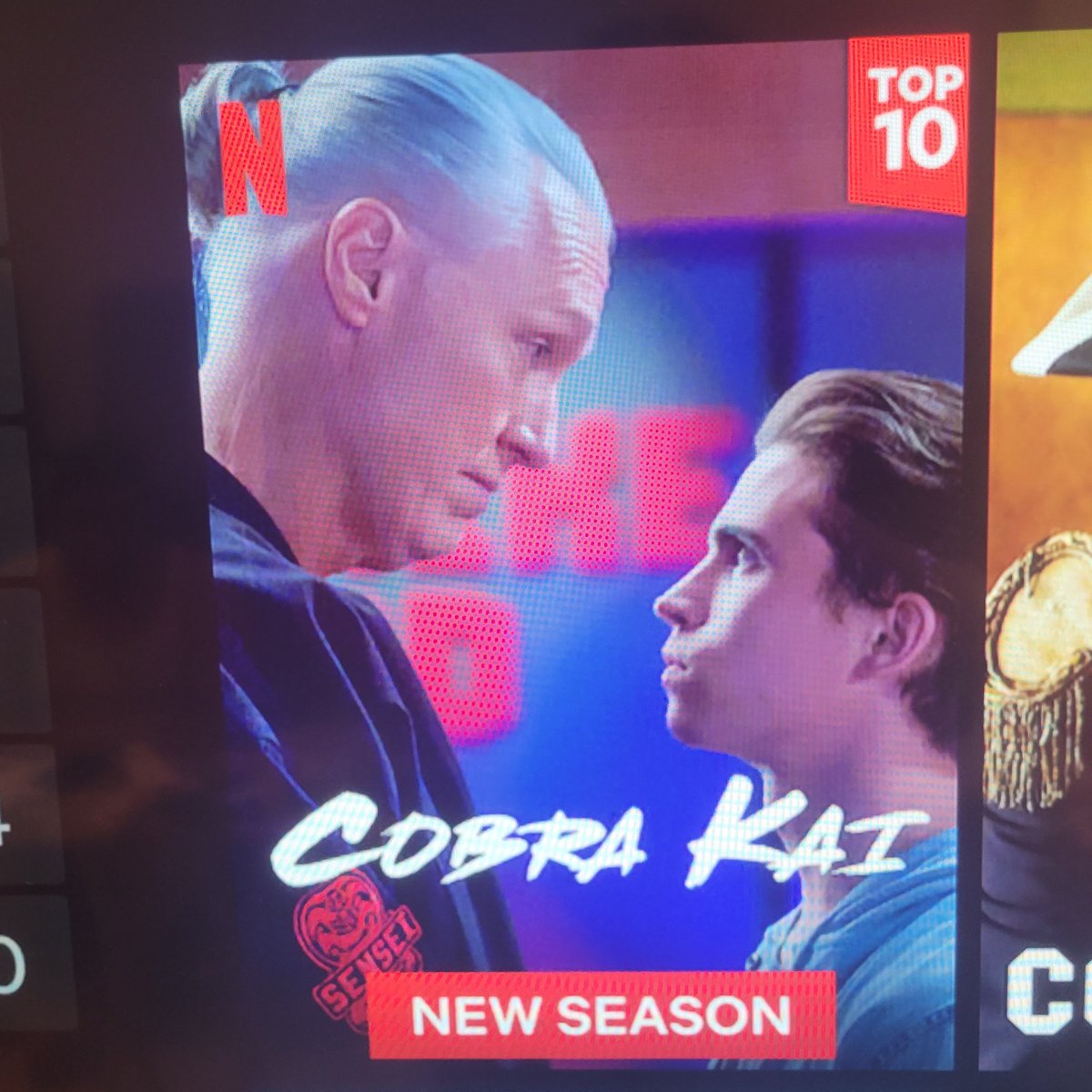 almostbrandi's tweet photo. Has anyone ever noticed that @netflix customizes the title screen based on the person? Mine is on the left. My husband's is on the right. #NotComplaining #CobraKai    #Netflix #ThirstTrap https://t.co/BWEquSCeQq