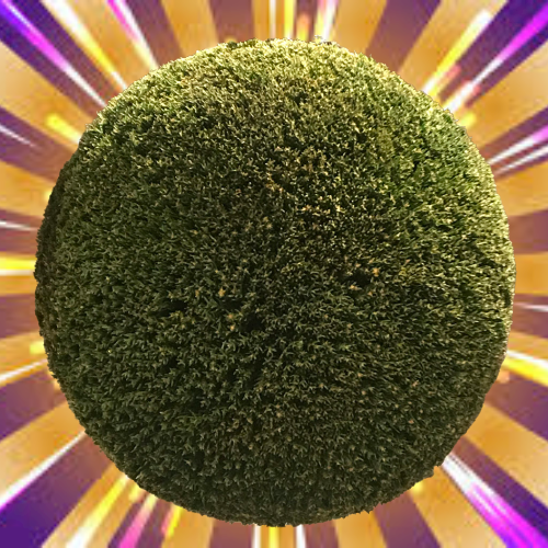 <a href="/LineaFresca/">lineafrescaana</a> <a href="/DbLWysThRHiAbh2/">佐久間龍一</a> <a href="/jun_takigami/">Jun Takigami</a> <a href="/futoshihonda23/">Honda Futoshi</a> <a href="/Keita_Maruyama_/">KeitaMaruyama</a> <a href="/yousukemurakam3/">yousuke murakami</a> <a href="/ryuuichi_aikawa/">Ryuuichi Aikawa</a> <a href="/takuma_kusuda/">Takuma Kusuda</a> <a href="/kenta_shimada5/">Kenta Shimada</a> <a href="/FutoshiHonda1/">FUTOSHI HONDA</a> <a href="/AikawaRyouji/">Ryouji Aikawa</a> <a href="/shion_tamura/">SHION TAMURA</a> <a href="/YouTube/">YouTube</a> おはよう🌤️連休はどうすんの