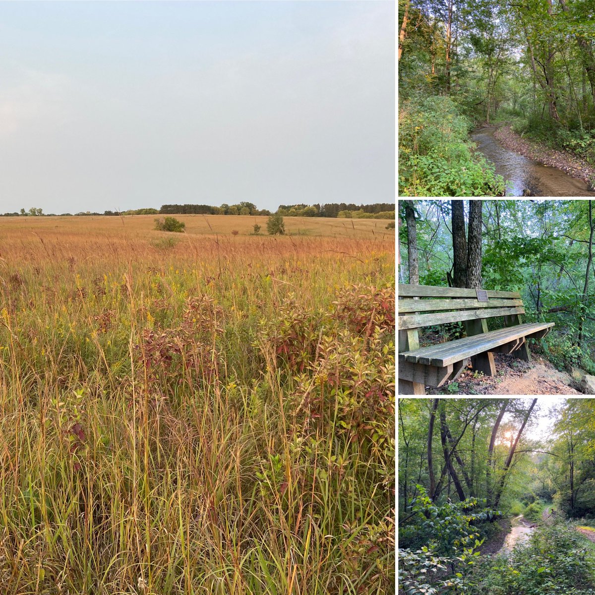 Erika Rivers (@erikarivers) on Twitter photo Day 97: A rejuvenating 3.5-mile hike on the Valley Creek and prairie trails at Afton State Park this evening. #100DaysOutdoors #everyonebelongs <a href="/WildernessINQ/">Wilderness Inquiry</a> Day 97: A rejuvenating 3.5-mile hike on the Valley Creek and prairie trails at Afton State Park this evening. #100DaysOutdoors #everyonebelongs <a href="/WildernessINQ/">Wilderness Inquiry</a>