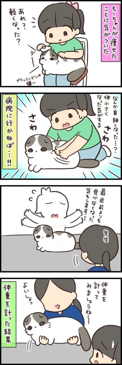 激痩せした!!と思ったら適正体重!? それでもやっぱり心配なのです【連載】もふもふスコたん#243|ねこのきもちWEB MAGAZINE https://t.co/FNDPz1mlHG