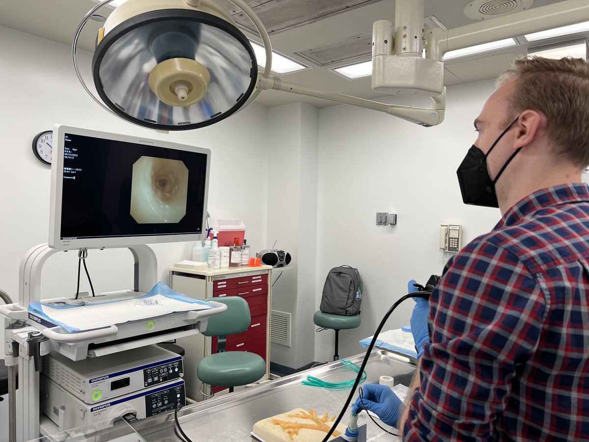 Nate LaVoy, MD tweet media