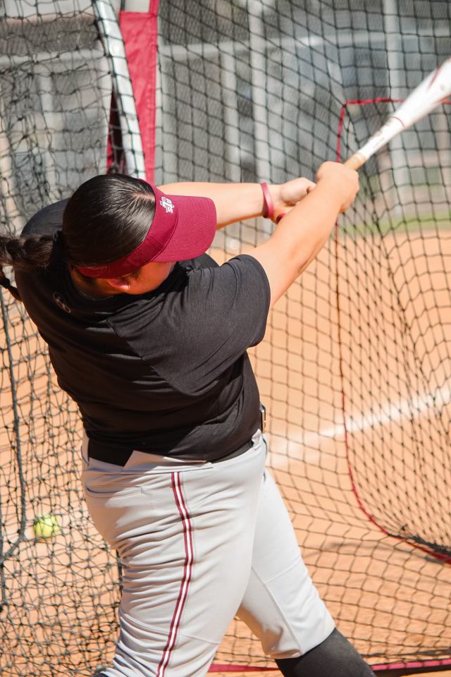 TSU Lady Tigers Softball tweet media