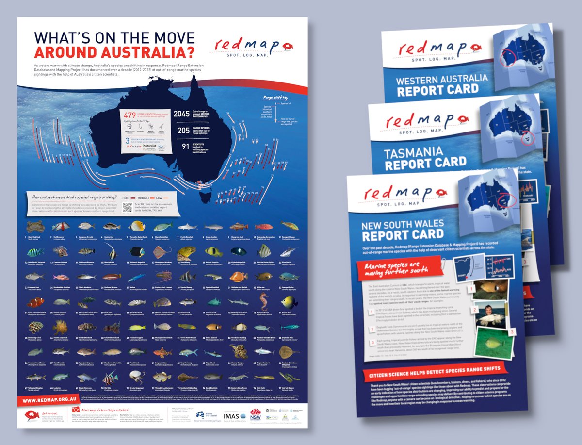 FishInTheNews's tweet image. #Redmap invites #Australians to spot, log and map marine species that are uncommon along our coast. #CitizenScientists help track species as their distributions shift south due to #ClimateChange.
@ConversationUK post - bit.ly/3BHPw1a
🔗 redmap.org.au