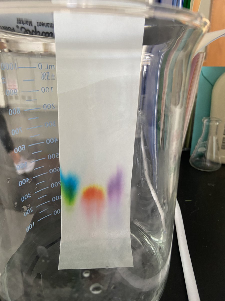 cougarchem's tweet photo. Cougar chemistry is discovering chromatography as a method of separating mixtures into their individual components. #secondarycolors #chromatography https://t.co/r3XgD28GTN