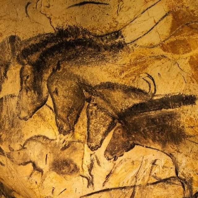 Dr_TheHistories's tweet photo. These paintings in Chauvet-Pont-d'Arc Cave in France are more than 36,000 years old. https://t.co/oVCemKfXnT