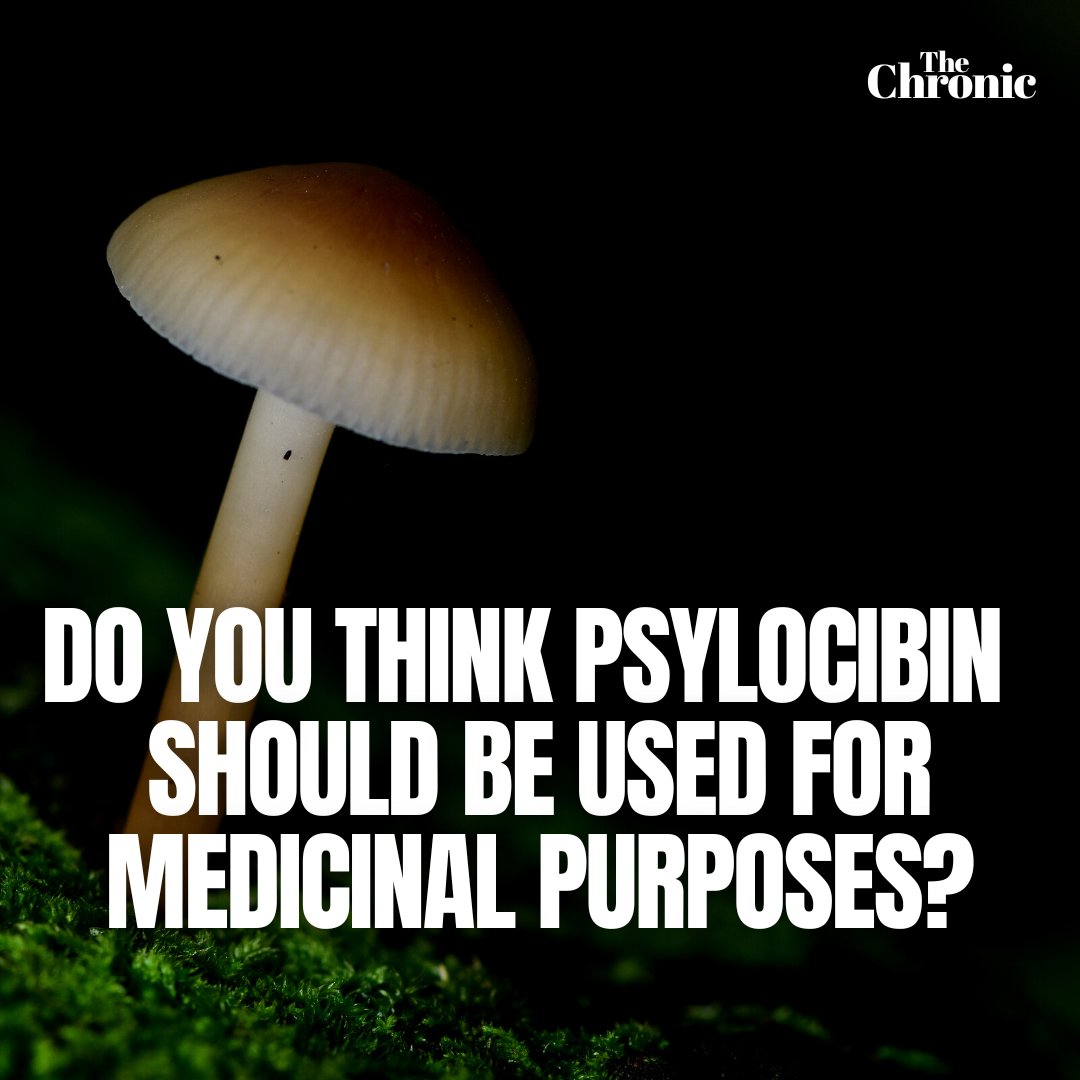 TheChronicMag's tweet photo. Do you think Psylocibin (magic mushrooms) should be used for medicinal purposes? 🤔🍄
.
.
.
#mushroom #trippyart #psyart #mycology #mushroomlover #fungi #mushroomlove #mushroomhunting #wildmushrooms #psychedelictrip #trippynation #mushroomsociety #shrooms #psyworld https://t.co/BW0JFqN9lR