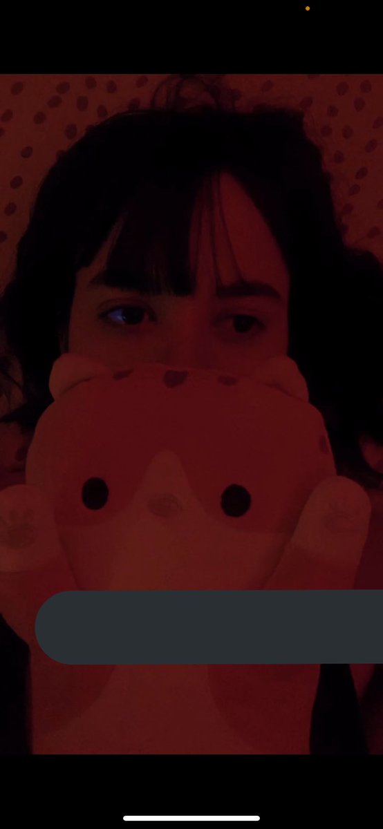 breadaeongie's tweet photo. goal achieved : i gave my cat plushie to hyunjin and she loved it 😭😭😭😭 https://t.co/bSZnlsa81N