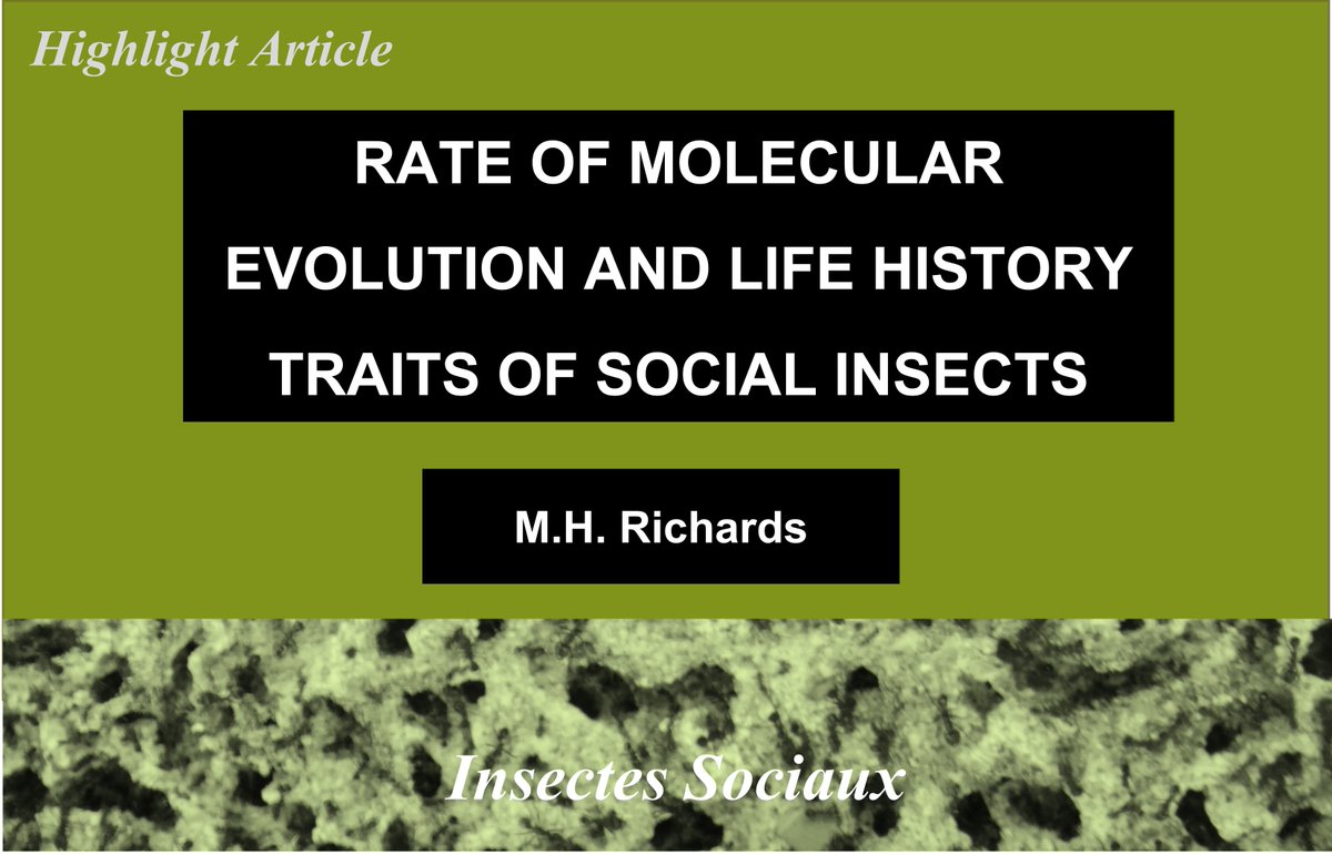 InsSociaux's tweet image. Miriam Richards highlights the article of Benjamin Rubin, examining whether colony size in social insects influences molecular evolutionary rates via the number of germline cell divisions.
Read the highlight here: rdcu.be/cVA0p
#articlehighlight #InsectesSociaux