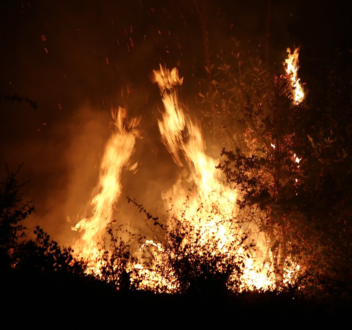 Photos from the Mosquito Fire on September 13th after a large spot fire destroyed multiple structures in the Todd Valley and Foresthill area. Multiple smaller spot fires were extinguished and mopped up during the night with the help of colder temperatures.