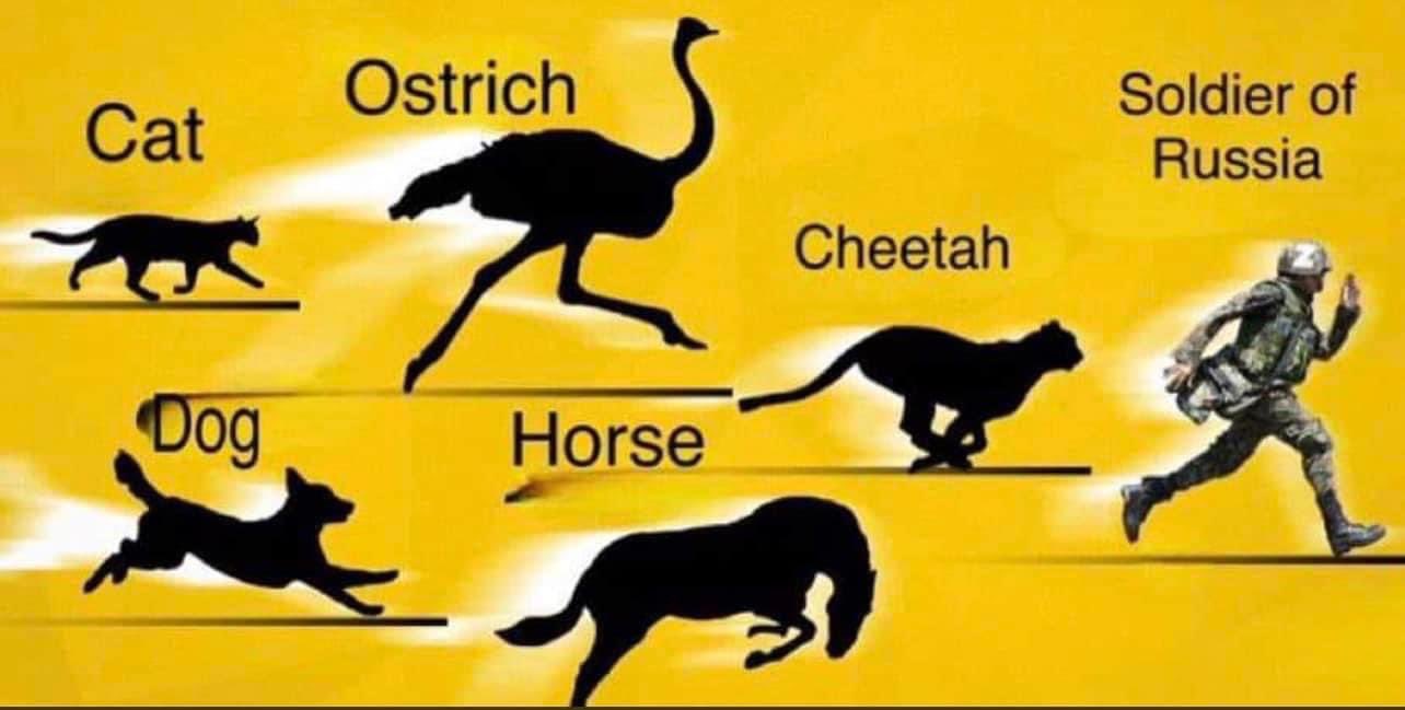 Fastest Animal In The World(05)