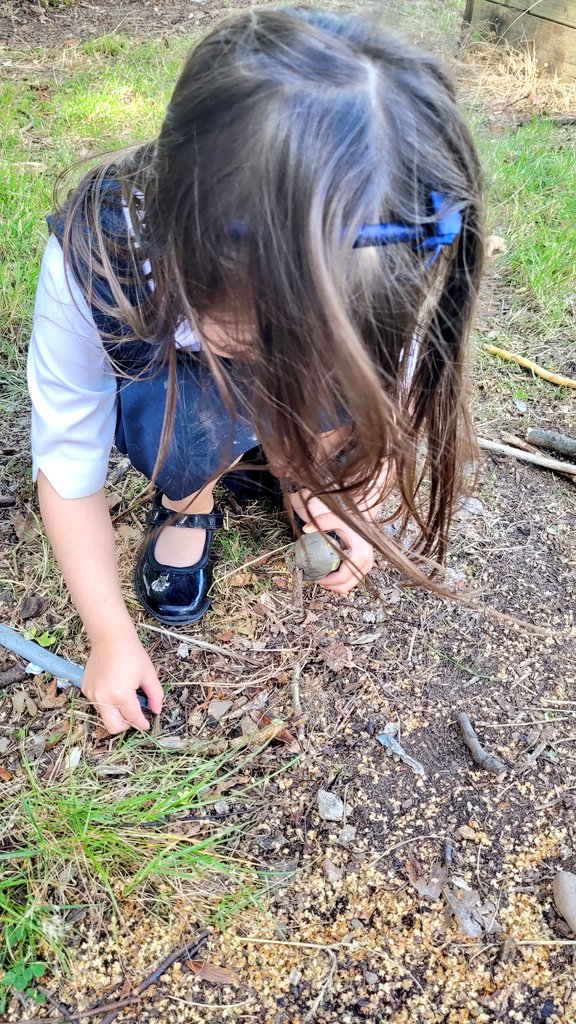 MrsTCaterpillar's tweet photo. Following on from our interest in spiders and other creepy crawlies - today during #OutdoorLearning we used clay and natural resources to make our very own spiders ๐ธ๏ธ๐ท๏ธ. #Spiders #Outdoorlearning #FascinatingCreatures #WeLoveNature https://t.co/5wNSBm5iWg