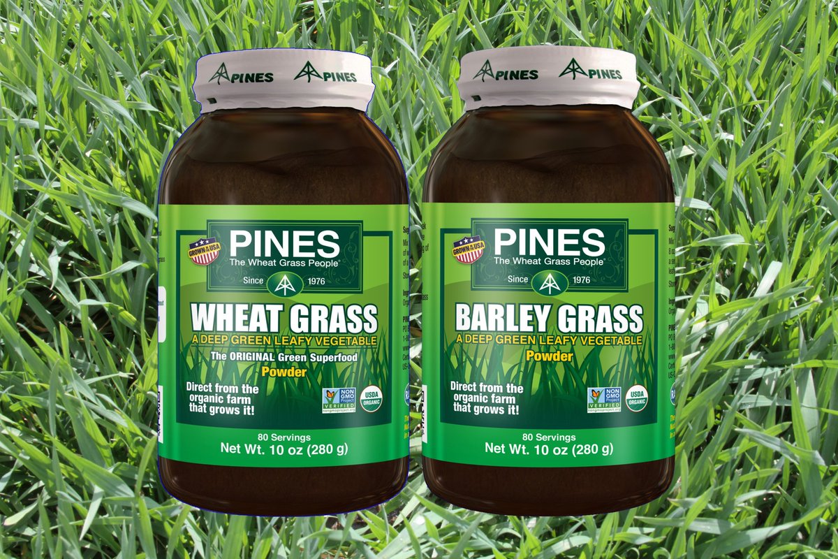 We introduced the 1st green superfood to the modern Natural Food Market in 1976 in oxygen-free glass bottles. We've never used plastic! We grow our grasses with the same standards as the original product from our farm, Cerophyl, introduced in 1932 as "amazing grass." #wheatgrass