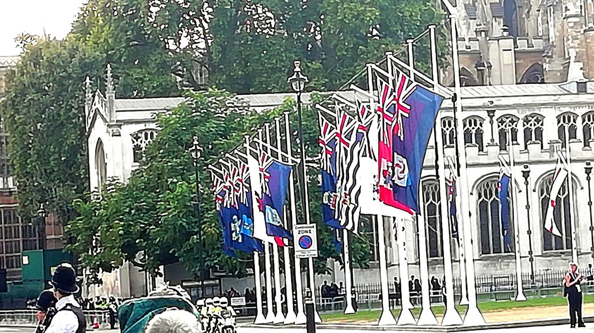 Philip Rushbrook (@philiprushbrook) on Twitter photo Flags of the 🇬🇧 overseas territories on display at Parliament Square for the solemn journey of Her Majesty to lie-in-state at Westminster Hall. <a href="/GO_ASHT/">Governor's Office - St Helena, Ascension & Tristan</a> <a href="/UKOTAssociation/">UKOTA</a> <a href="/British_OTs/">UK OT Family</a> <a href="/BritishOverseas/">Friends of the British Overseas Territories</a> Flags of the 🇬🇧 overseas territories on display at Parliament Square for the solemn journey of Her Majesty to lie-in-state at Westminster Hall. <a href="/GO_ASHT/">Governor's Office - St Helena, Ascension & Tristan</a> <a href="/UKOTAssociation/">UKOTA</a> <a href="/British_OTs/">UK OT Family</a> <a href="/BritishOverseas/">Friends of the British Overseas Territories</a>