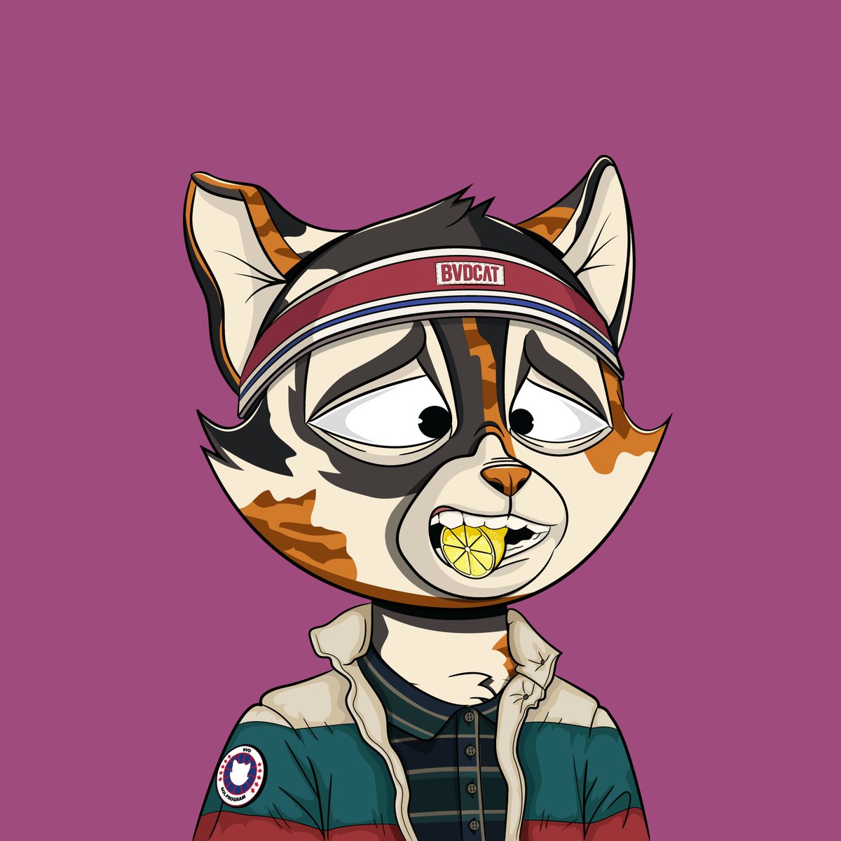 heyson25's tweet photo. finally! after the long wait, my @BVDCAT_ has arrived! where is your cat?
#bvdcat #deadcets #solana #solproject #trending https://t.co/Q3HjJMQ506