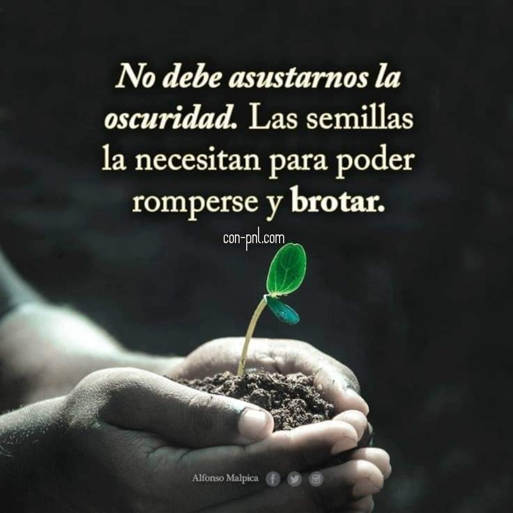 solucionespnl's tweet photo. Hace falta la oscuridad para brillar, para crecer, para traer felicidad.
#oscuridad #brillar #crecer #asustar #oscuridad #poder #romperse #brotar #vida #felicidad #coaching #pnl #inteligencia #emocional #inteligenciasocial #inteligenciafinanciera #sermejor #serfeliz #serfuerte https://t.co/k5yhRnrQB6