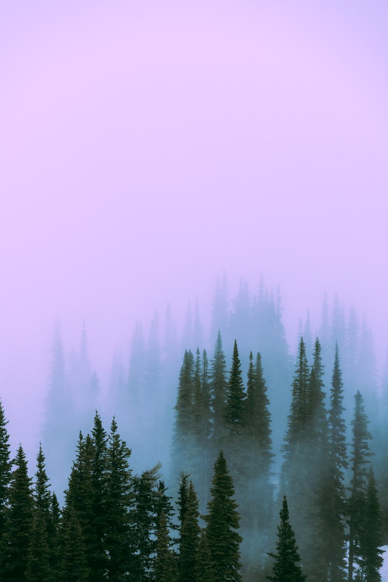 How does your fairytale end?