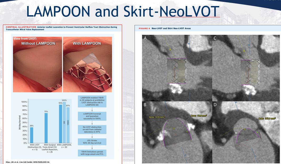 JoaoLCavalcante's tweet photo. Join us for the 5th TMVR Virtual Interactive Workshop on October 8th with @psorajja @bapat_savrtavr @DavidCaye2 @jrlesser1 @CathElectroSurg @GilbertTangMD Seats are limited! https://t.co/S9HyEkuEu9 #tmvr @vonBardelebenRS @azeemlatib @OKhaliqueMD @MayraGuerreroMD @DeeDeeWangMD https://t.co/p2mGmxq6oF