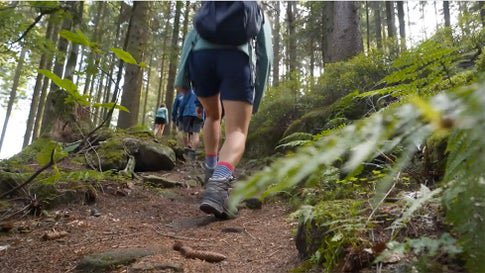 Can A Forest Walk Improve Your Well-Being?
Umm… duh! Nature walks are definitely good for the soul, and they are emotionally and physically helpful, too! I love nature, even though I wasn’t really an “outdoorsy person” until a couple of years ago or so… weather.com/science/nature…