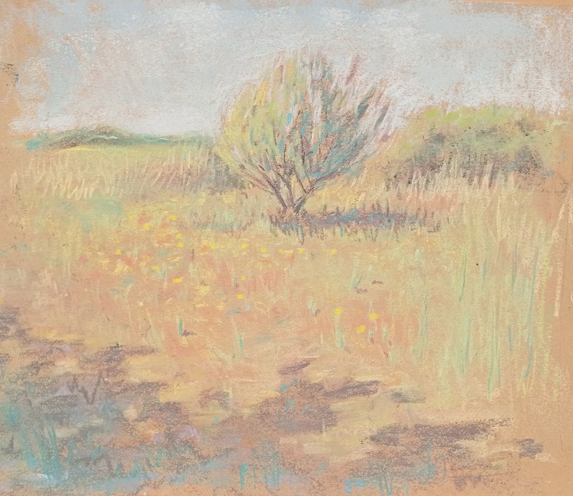DescatMax's tweet photo. summer soft pastel 1 #softpastel #pastelsec #drawing #art #traditionalart https://t.co/CjuT5yk6ZR