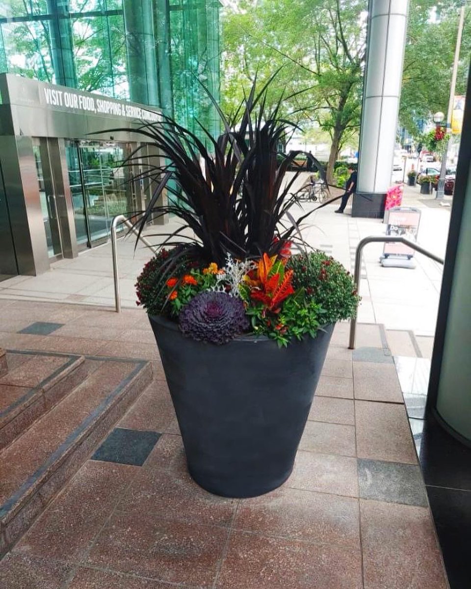 Beaverlands's tweet photo. Fall planting has started 🍂 https://t.co/uG10VV1CMA