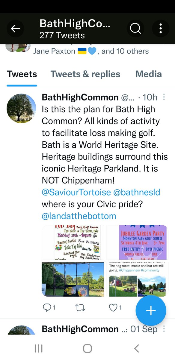 The latest bizarre ramblings from @highcommonppl. A large sprinkling of snobbery on top of the usual made up nonsense. Charity family fun days and face painting are apparently unacceptable uses of common land. Territorial, nasty and completely out of touch with Bathonians.