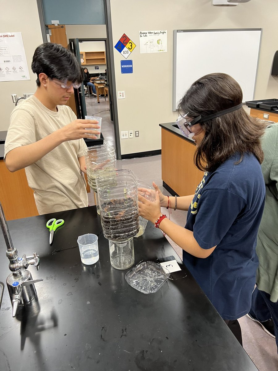 SaddlebackHS's tweet photo. Plant life 🕵🏼Hands on learning in #APEnvironmental 🌱 #sausdgraduateprofile https://t.co/4E3TIzolsE