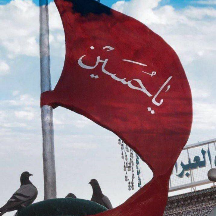 thereal_iraq's tweet photo. - ذكرُ "حُسينٍ" يُحيي القلوبَ الميّتة
"وَاللَّهُ يَهْدِي مَنْ يَشاءُ" إلىٰ ذكرِه ❤️
.
#الاربعينية_مليونية_عالمية https://t.co/xv3i8dCs2U