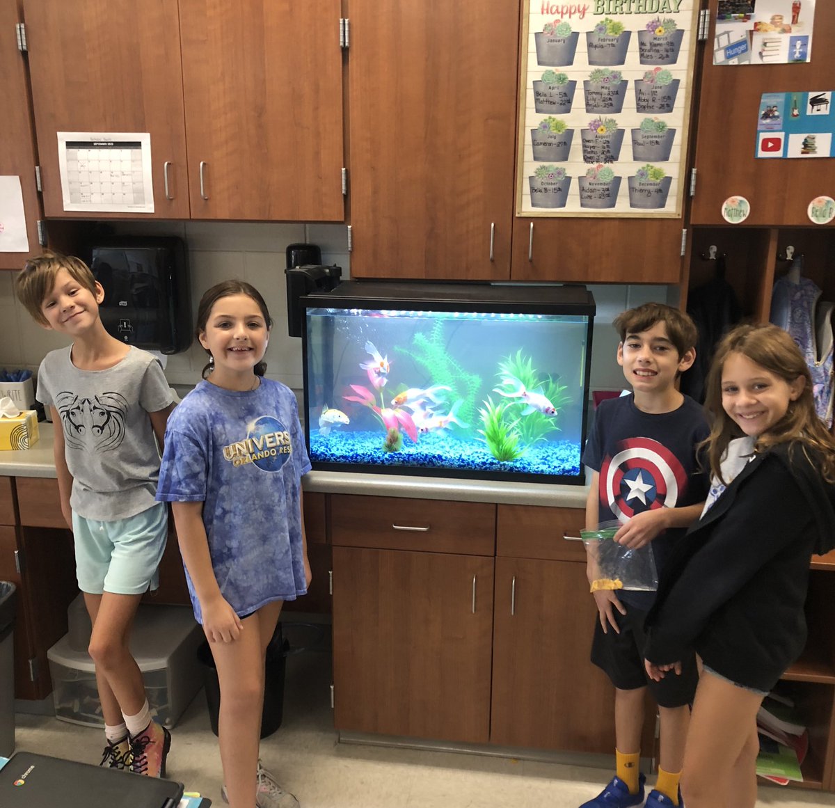 ms_aklamo's tweet photo. Guess who’s back?! We earned gold cards as a class to get these fish back from their summer vacation home. 🥳@WilsonElem #WeareFHSD https://t.co/ewvxaIBhSq