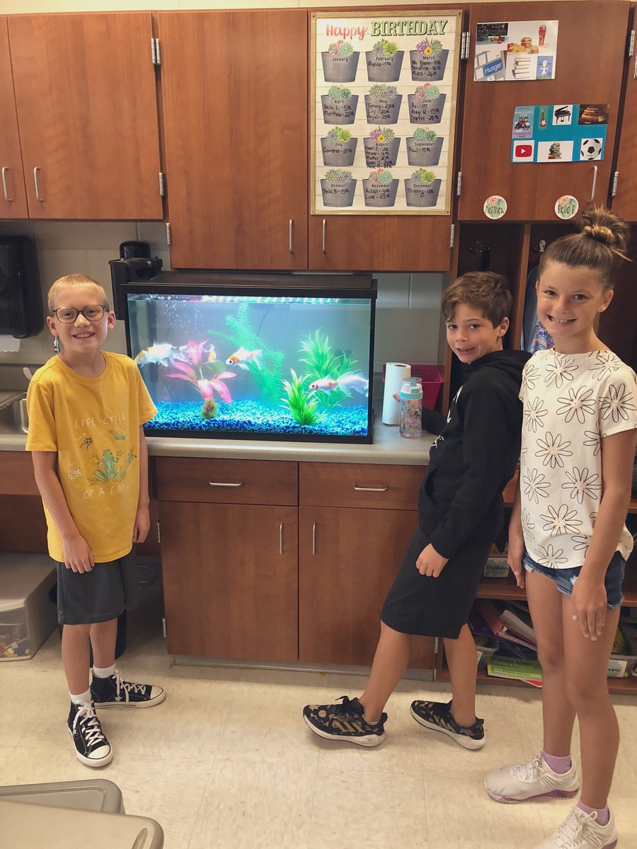ms_aklamo's tweet photo. Guess who’s back?! We earned gold cards as a class to get these fish back from their summer vacation home. 🥳@WilsonElem #WeareFHSD https://t.co/ewvxaIBhSq