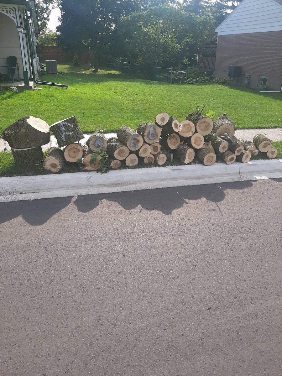 Free firewood.  Come on by and load up. On curb, 54 William st., Streetsville.
