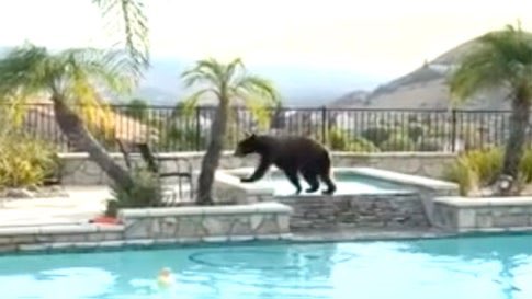 “In California, Cooling Off Is A Bare Necessity.”
Gotta love videos like this one! Hey, they’re out there in this godforsaken heat literally constantly, so they’ve got to find SOME way to cool off! What an awesome way for them to do it! Just let it happen! weather.com/science/nature…