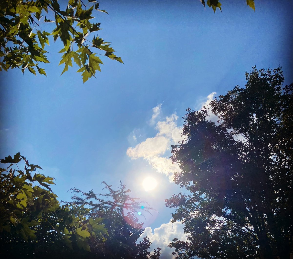 The answer is in the question.