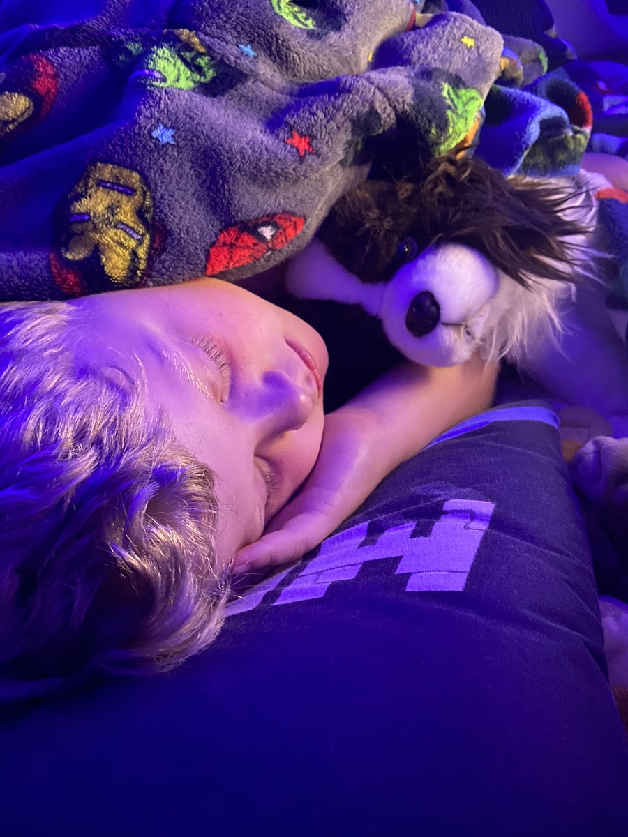 Lynds4yG's tweet photo. So my son fell and hurt himself earlier I put him to bed with his cuddly toy, we got him it as it looks like our beloved Archie that passed in Feb.. thought he was still awake and come to check on him to see this ๐ฅบ๐ญ๐ #missmydog #lovemyson #riparchie https://t.co/DVexrqhAXc