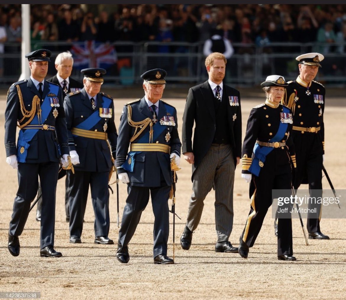 ‘Prince Harry served in the Army for ten years, rising to the rank of Captain and undertaking two tours of Afghanistan’. (Royal website)