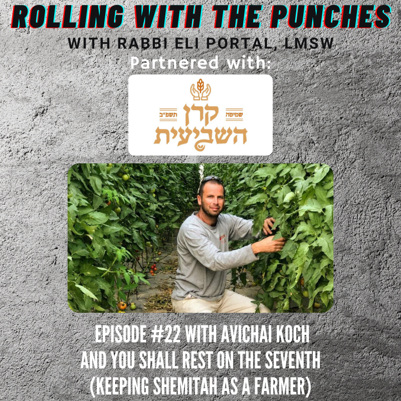 PunchesPodcast's tweet photo. @PunchesPodcast podcast with Rabbi Eli Portal, LMSW has partnered with Keren Hashviis to bring you the following episode on keeping Shemitah as a farmer.. You can find the episode on all major streaming platforms. 
#shemita #kerenhashviis #sabbatical https://t.co/1jgil7M2uo
