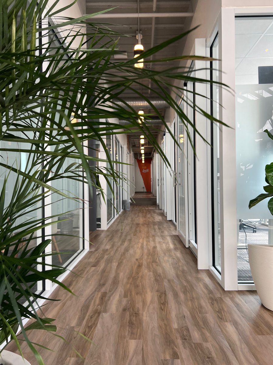 Jess Watson (she/her) tweet media