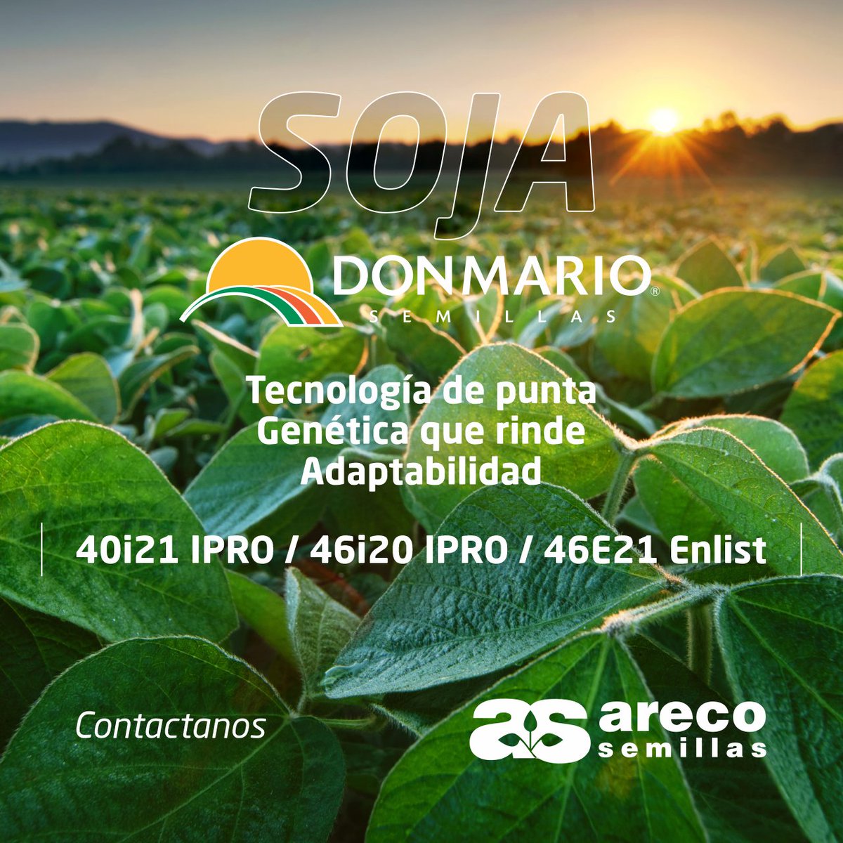 ArecoSemilllas's tweet photo. 𝗧𝘂 𝗰𝗮𝗺𝗽𝗮ñ𝗮 𝗱𝗲 𝗦𝗼𝗷𝗮 𝗺𝗲𝗿𝗲𝗰𝗲 𝗹𝗮 𝗴𝗲𝗻é𝘁𝗶𝗰𝗮 𝘆 𝘁𝗲𝗰𝗻𝗼𝗹𝗼𝗴í𝗮 𝗱𝗲 𝗹𝗮 𝗦𝗼𝗷𝗮 𝗱𝗲 @DONMARIOoficial 
Tenemos para ofrecerte toda la variedad de #Soja de #DonMario
Contactanos
#Agricultura #Agro #Campo https://t.co/aIyotFpUew