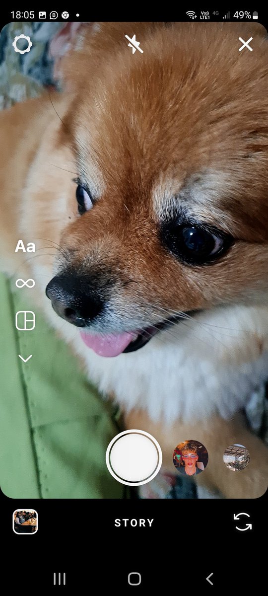 AlexOzai's tweet image. Saiu a atualização do #Instagram com todas as correções dos#Bugs

Tá normal!! Ae Instagram, colabora ae!!