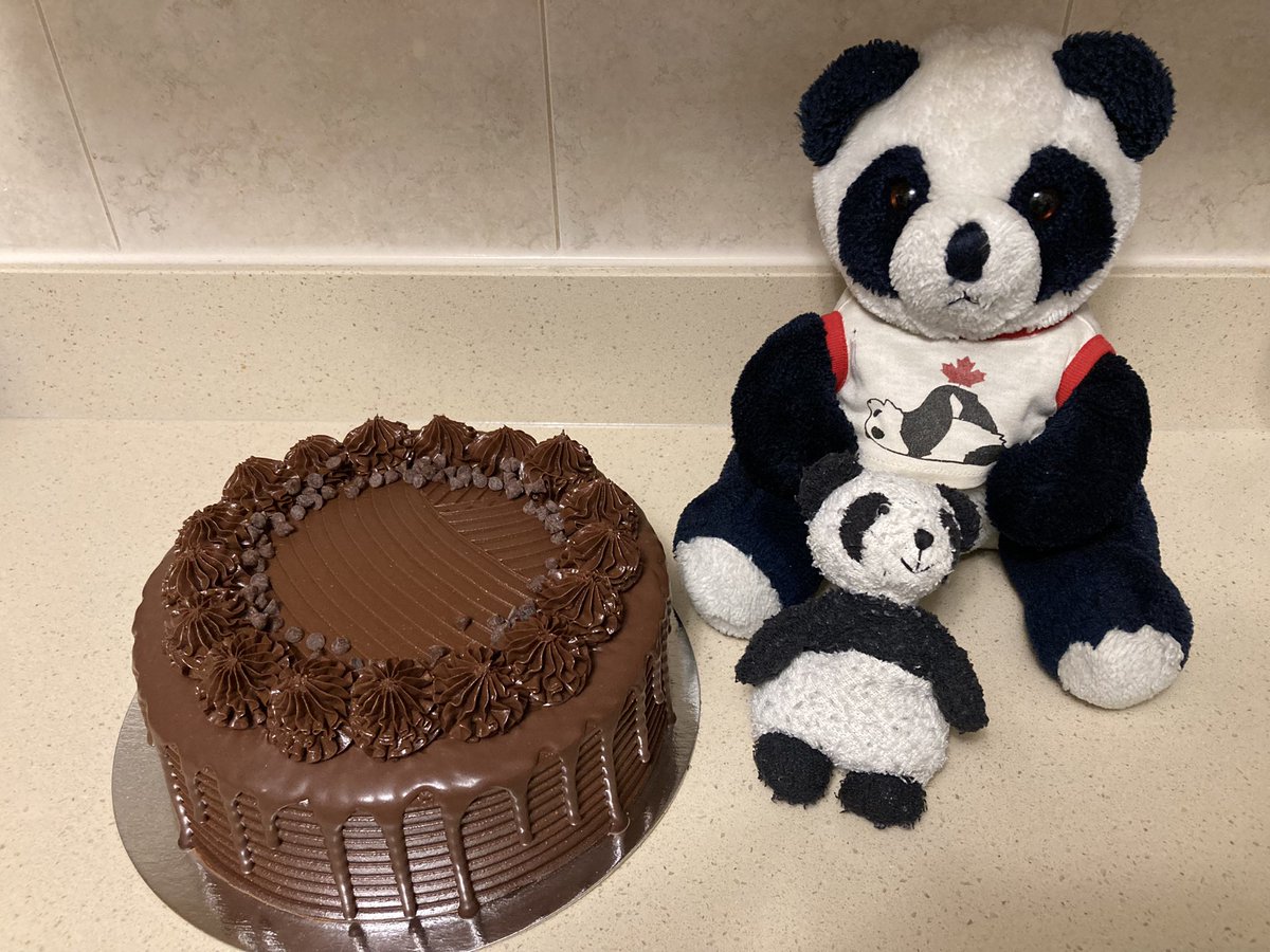 Adventure_Gauss's tweet photo. Hello! My name is Rex and it’s my birthday today, so I’m doing a twitter takeover. Gauss has agreed to help. He also agreed to help eat my yummy cake. #helpfulpanda #TwitterTakeover #pandabirthday #cake https://t.co/Uv1VLWEWF0