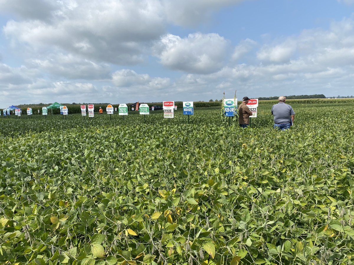 SunriseCoopOH's tweet photo. Great Day at our @WinFieldUnited AnswerPlot in Attica, Ohio. 

#WhySunrise #SunriseCooperative #SunriseSeed @NKSeeds @BrevantseedsUS #PCTSunrise @FinneyCCA https://t.co/TuW65rpeh8