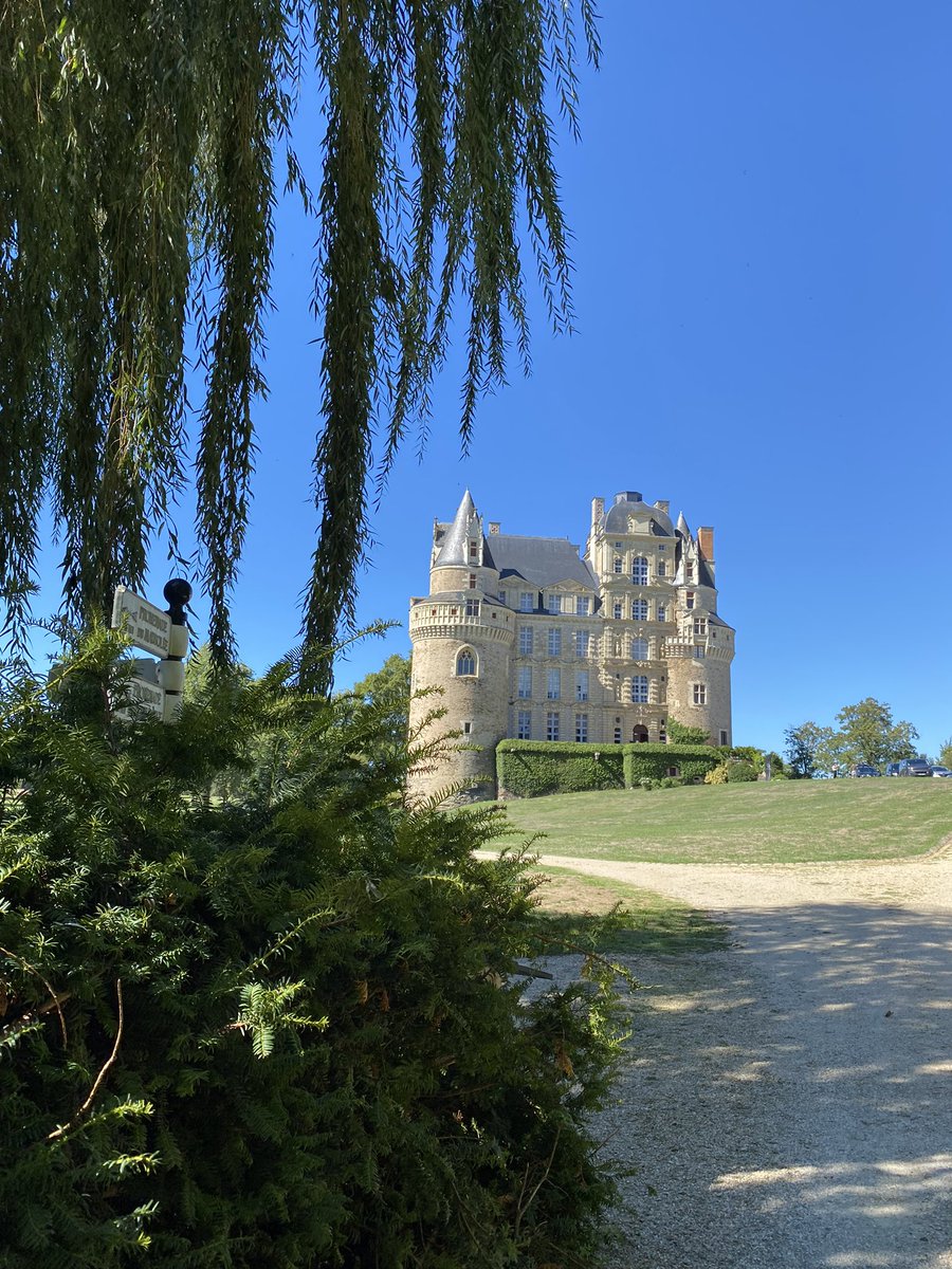 JenniferHopp_'s tweet photo. Tour des châteaux 🏰 🇫🇷 @RCValdeLoire @UNESCO_fr #valdeloire #loiretal #derschlossherrundseinburgfräulein https://t.co/LSshiaxbVn