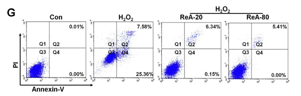 MicrobiomDigest's tweet image. #ImageForensics #FlawCytometry
Is everything ok here? No? what do you see?