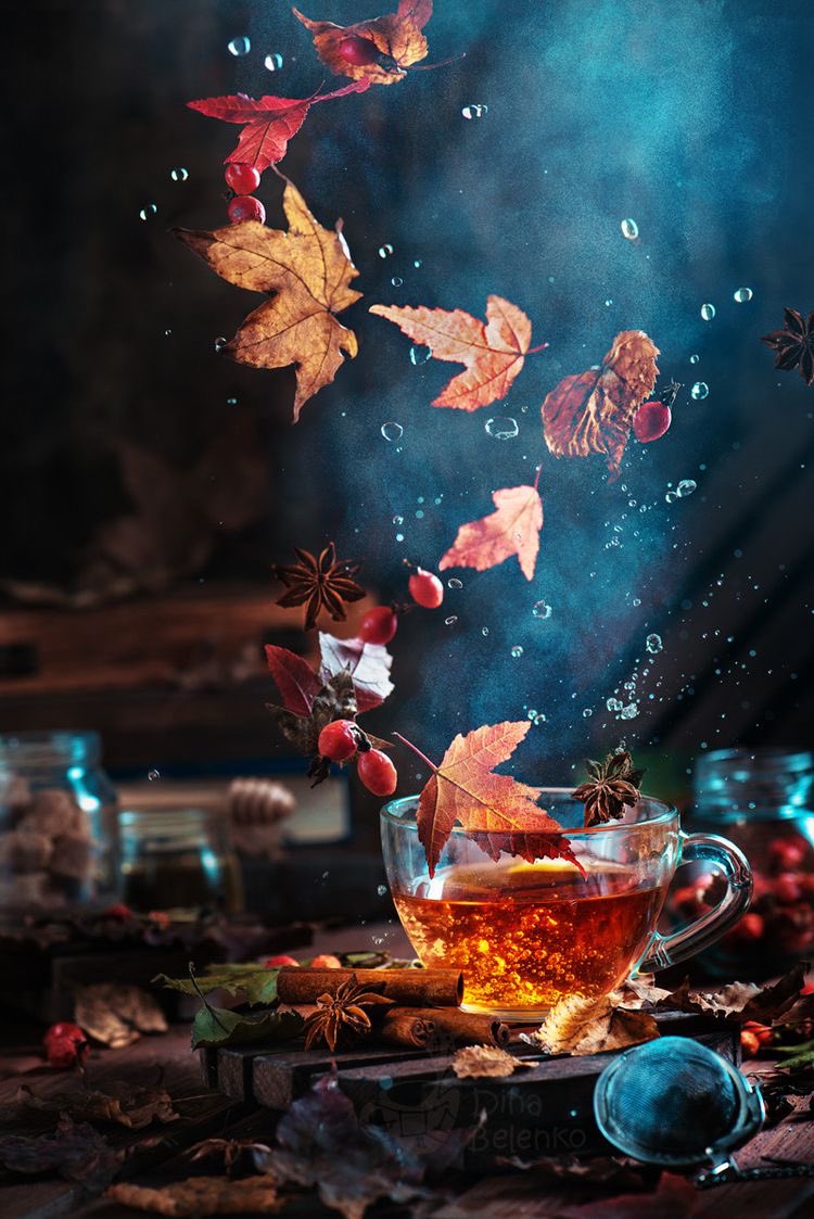 amore_non's tweet photo. Sul blog un articolo su Mabon il sabbat che celebra l’equinozio d’autunno 🍁 https://t.co/azcdqqctIy #witch #magic #magia #news #blog #blogger https://t.co/4ybZsno3qb