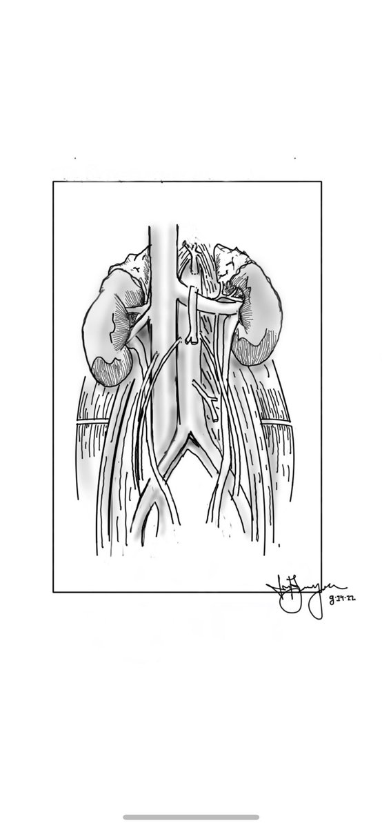 Jake Bamberger tweet media